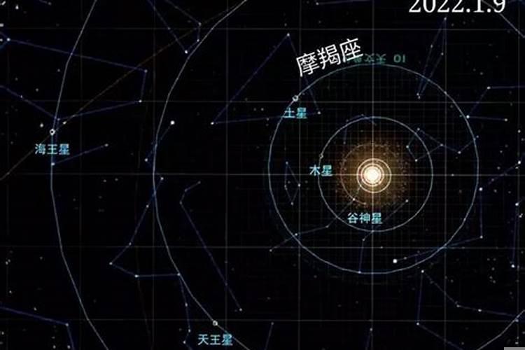 属猴的摩羯女性格特点