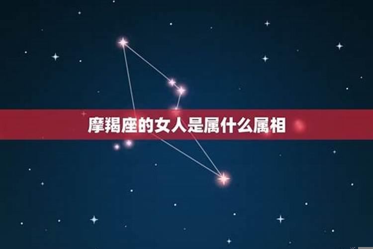 属猴的摩羯女性格特点