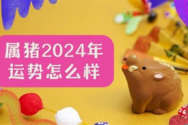 2019年生肖猪的运势