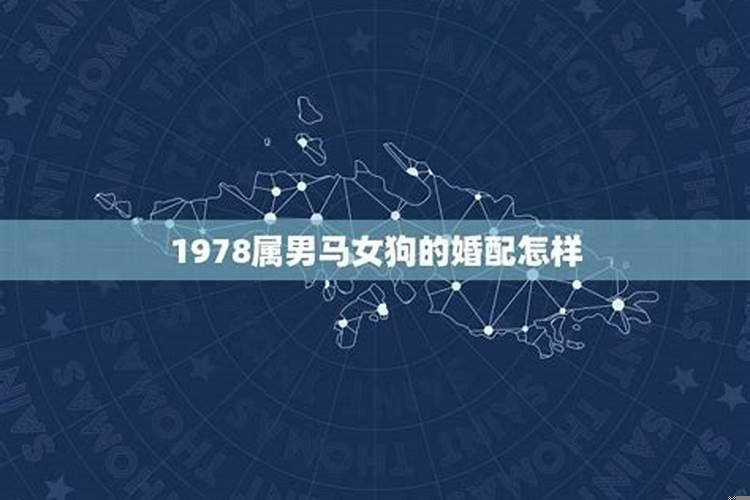 78年属马女和84年属鼠男的相配吗