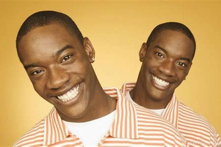 梦见生双胞胎是什么意思