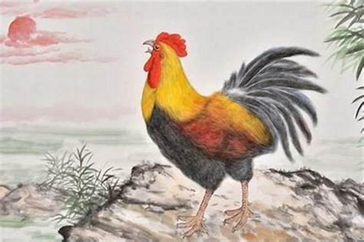 马跟属鸡相配吗