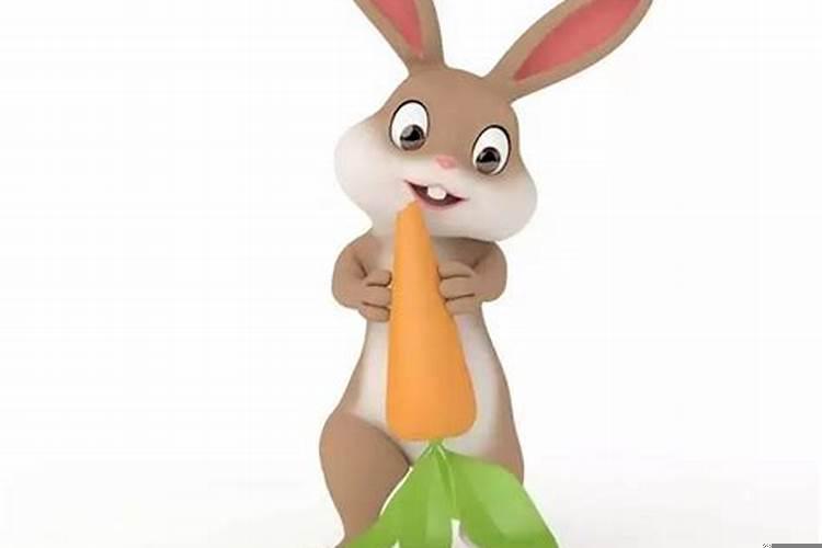 天秤座女一辈子是什么命