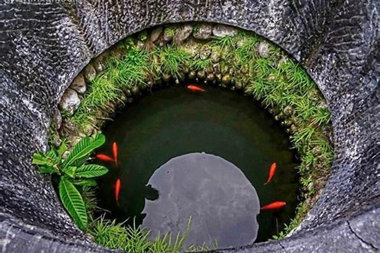 梦到井里捞鱼是什么意思