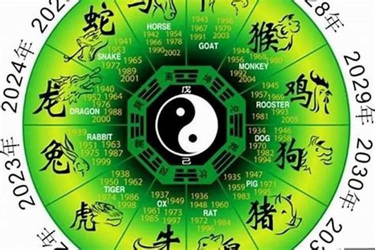 属鸡人在虎年的运势