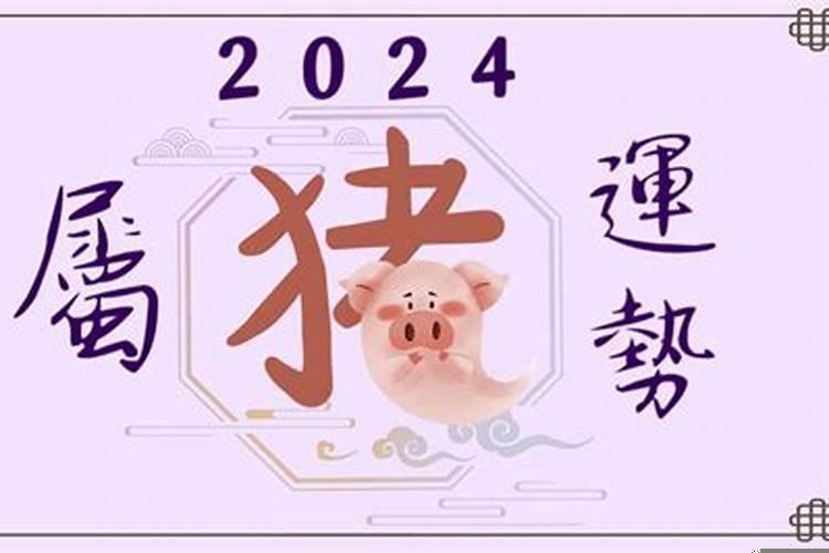 2019年生肖猪的运势