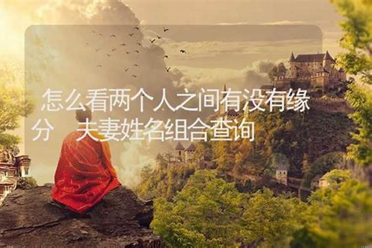 怎么看出两个人有缘分