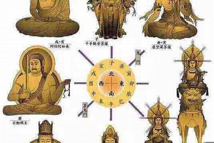 十二生肖的守护神分别是什么