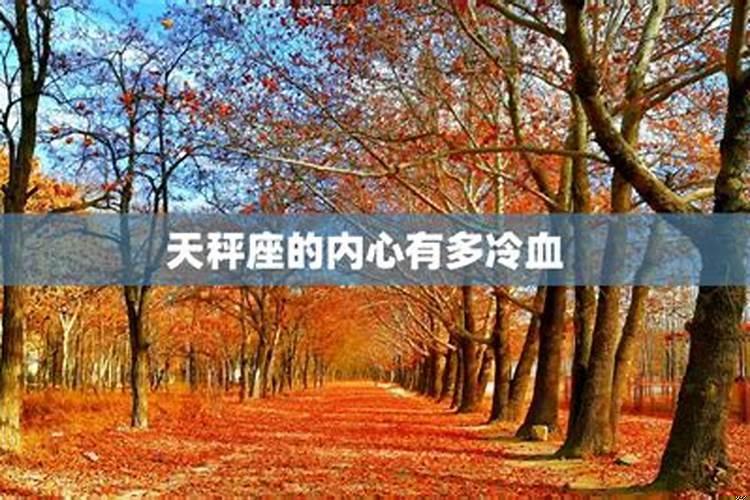 天秤座的内心有多冷血