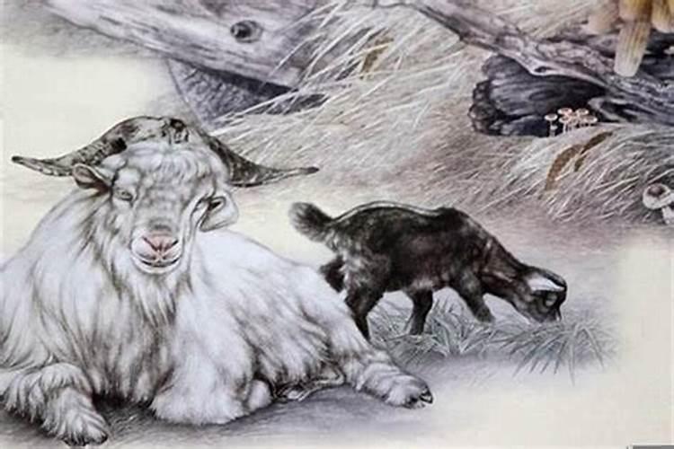 属羊人生于辰时命运