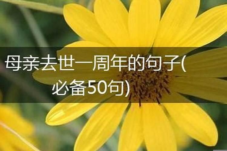 亲人死了第一年上坟