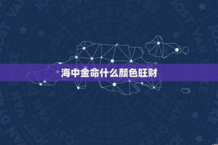 海中金命还有什么命