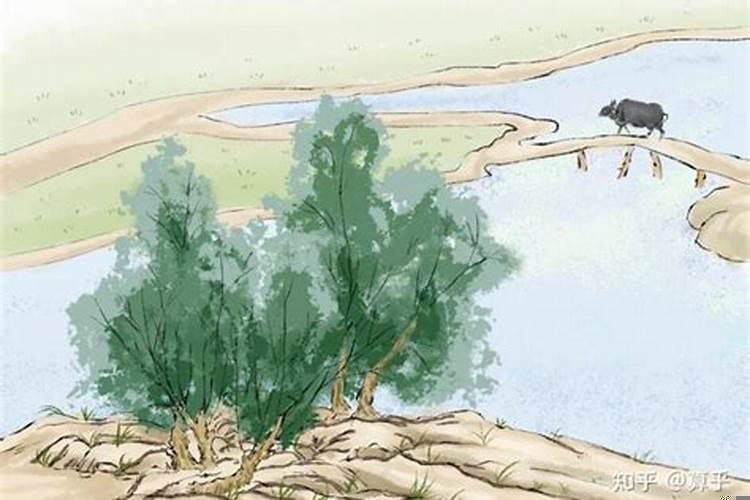 辛丑年丙山壬向造葬择日