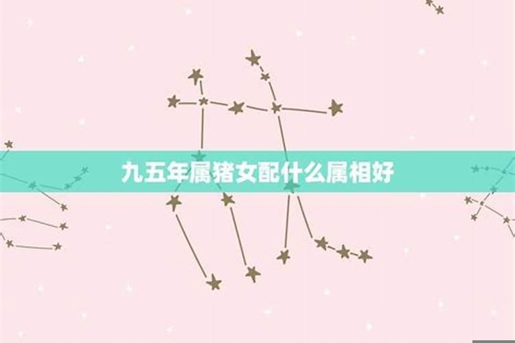 属猪的女生和什么属相最配