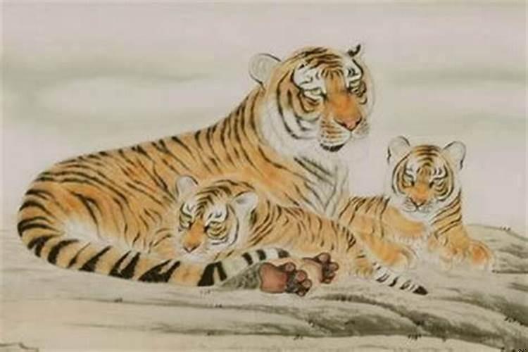 女属虎佩戴什么最招财