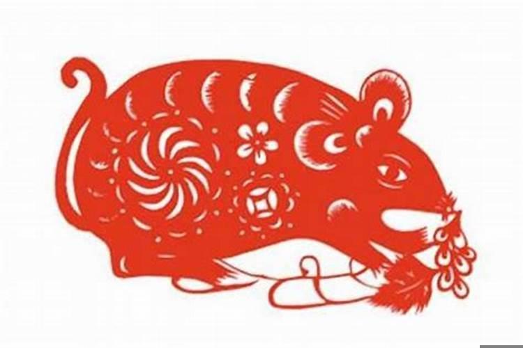 属鼠生肖相配吗