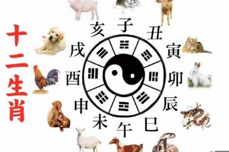 属相测运势比较准确