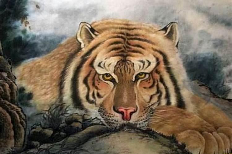 红颜薄命的猜一生肖