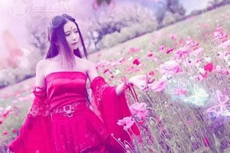 红颜薄命的猜一生肖