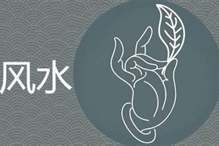 放生后一直财运不好