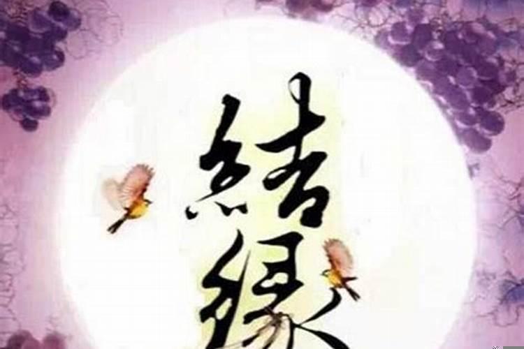 可以结缘是啥意思