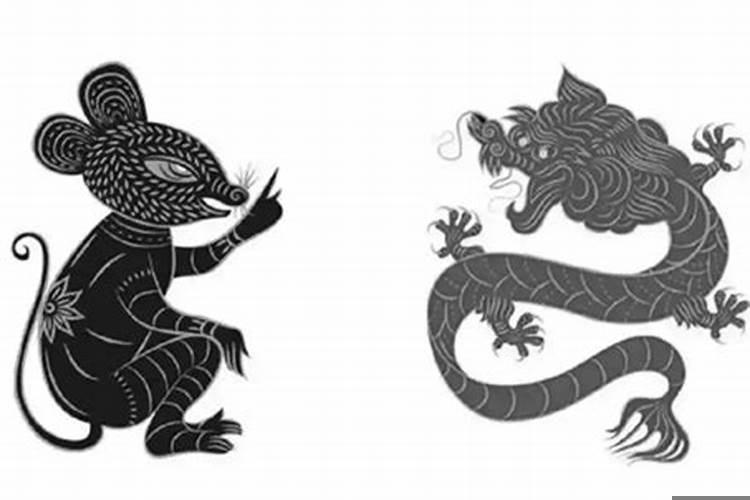 鼠与龙属相合不合