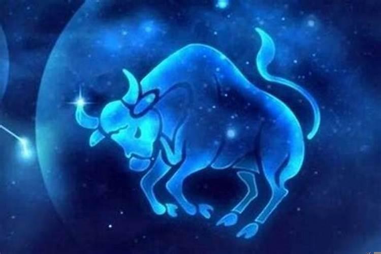 金牛座女生会主动追男生吗