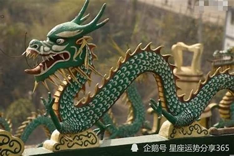 属龙的适合做啥生意