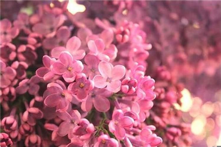 梦到前男友有新欢了是真的有了吗