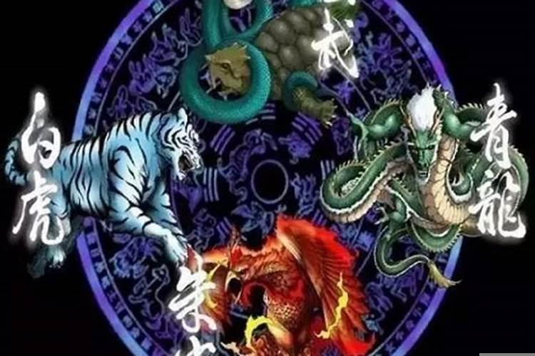 风水上的左青龙右白虎