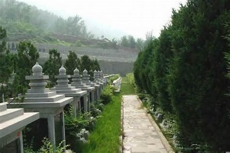 坟地周围种草坪好吗