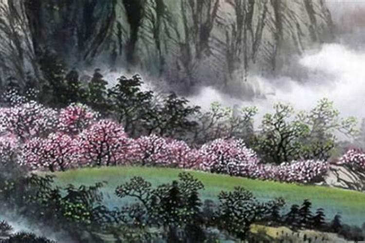 八字日柱癸巳女命