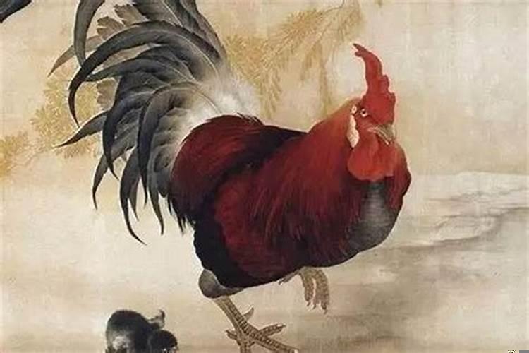 看一下今年属鸡的运势怎么样