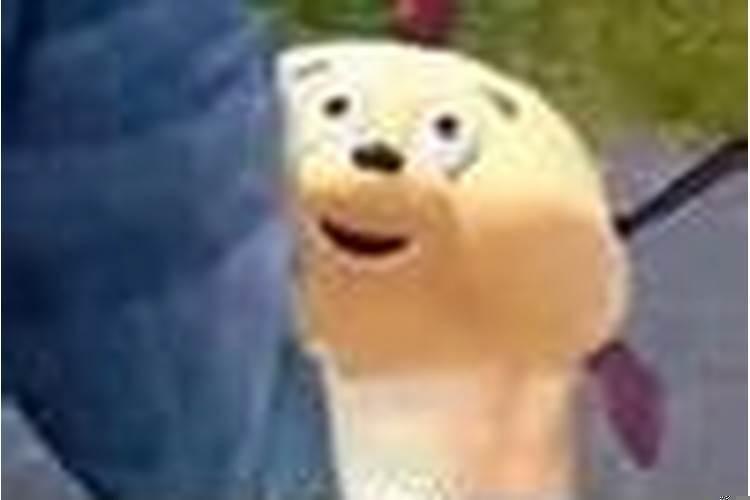 上升双鱼和上升水瓶的区别