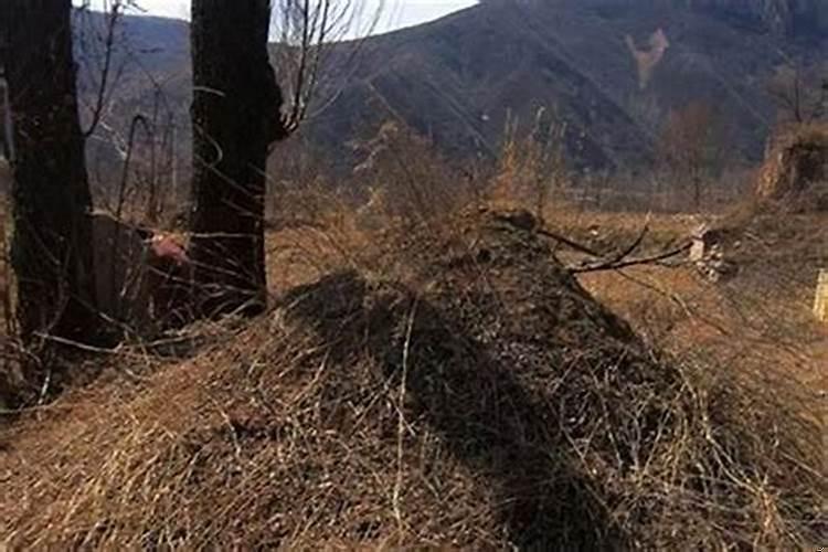 梦见老人坟塌了