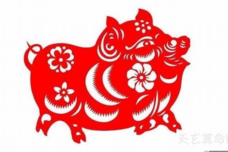 2007年为啥是金猪年