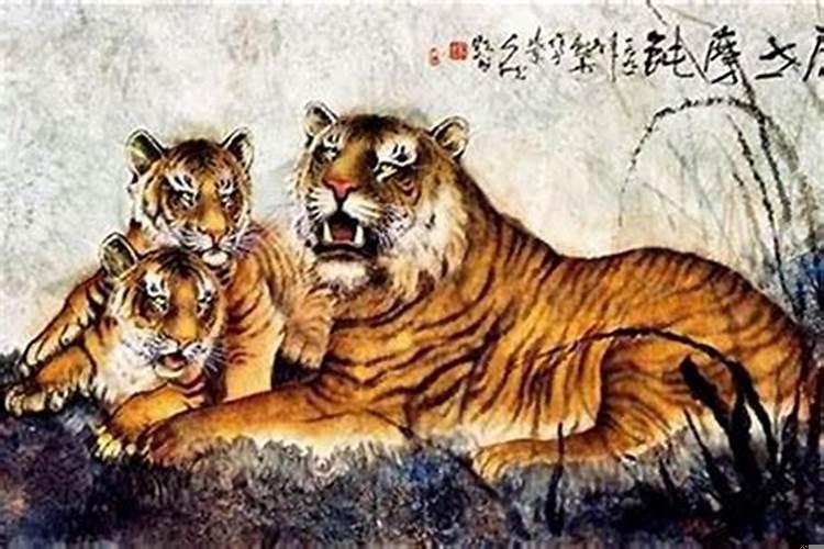 属虎的虎年运势及运程