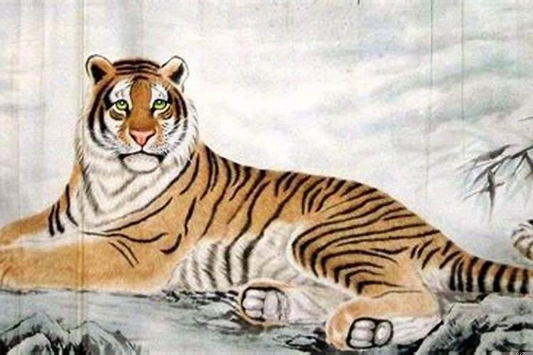 虎年是不是好年