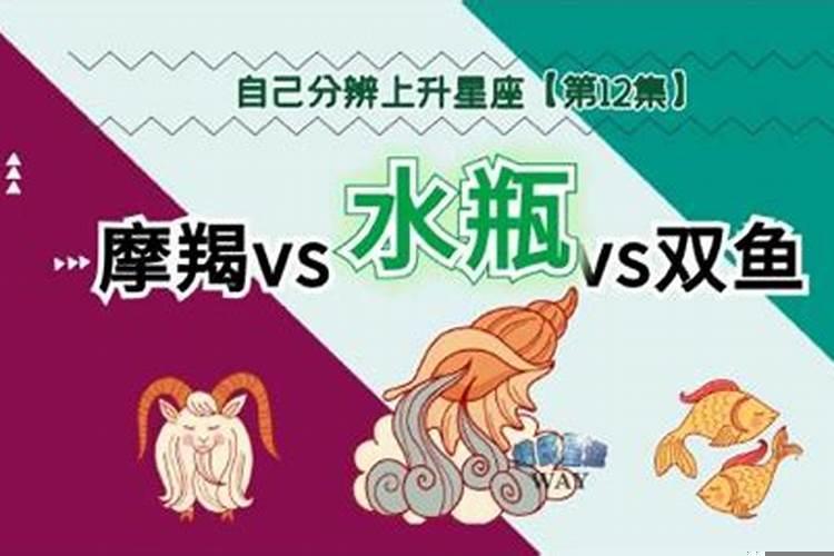 上升双鱼和上升水瓶的区别