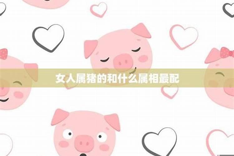 女孩属猪和什么属相的男孩相配