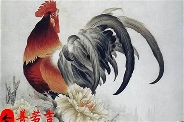 看一下今年属鸡的运势怎么样