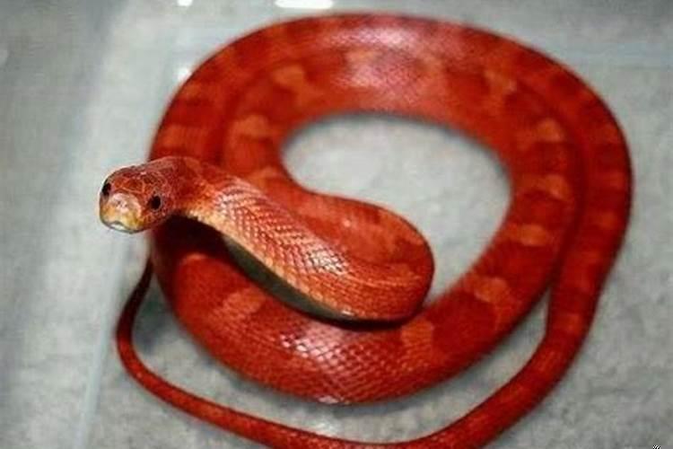 女人梦见自己哭