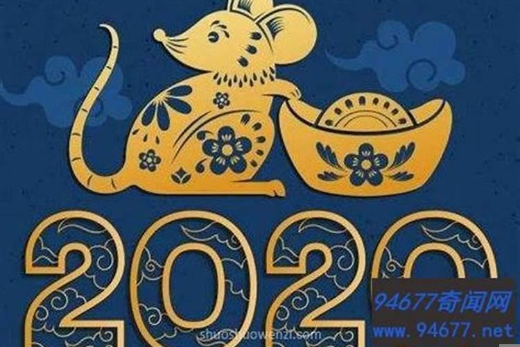 中国的每一个鼠年