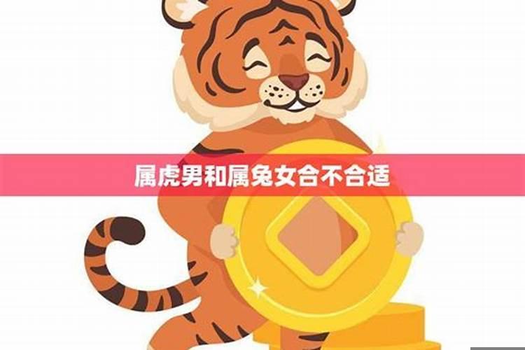 属鸡男和属兔女合不合适