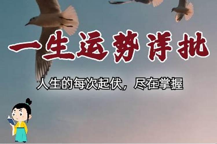 紫微斗数算流年运程