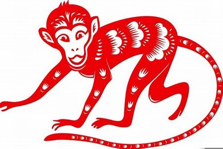 女的属猴的最佳婚配