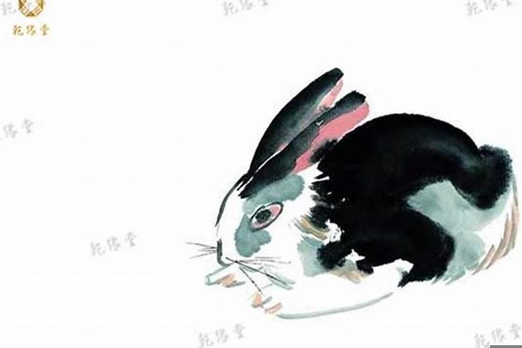 十二生肖属兔的运气怎么样