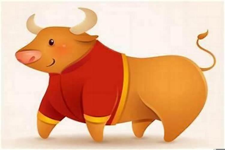 属牛跟什么属相比较合