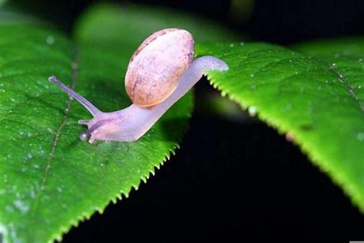 八字是轻好还是重好