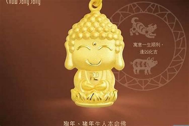 属狗的可以摆的风水摆件